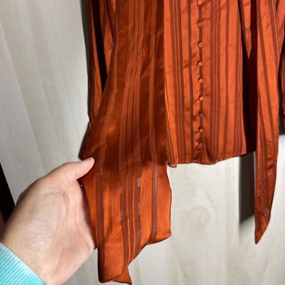 Chico’s rust color blouse‎ button front with scarf, size 2, size 12/14. - Picture 15 of 16